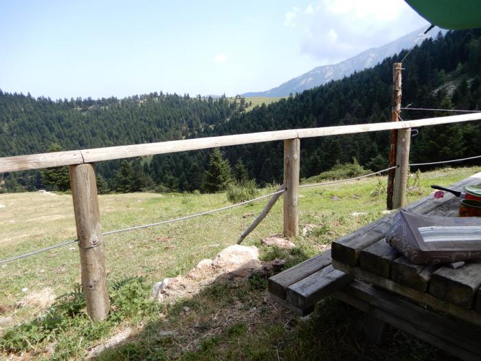 Cabane de Prat cabrera