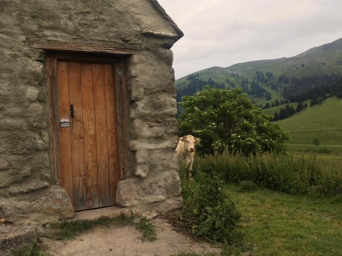 Cabanes de Beyrède